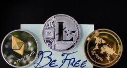 crypto airdrop guide 2026 - Finance Short Url